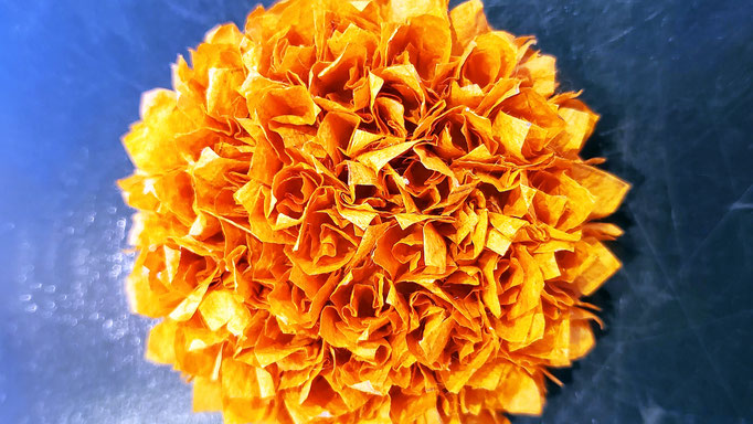 直径／約5.8cm、厚さ／約2.5cm