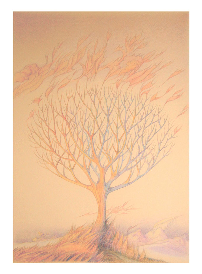 "Monde ardent" - Étude au crayon de couleur sur papier crême 34 x 50 cm