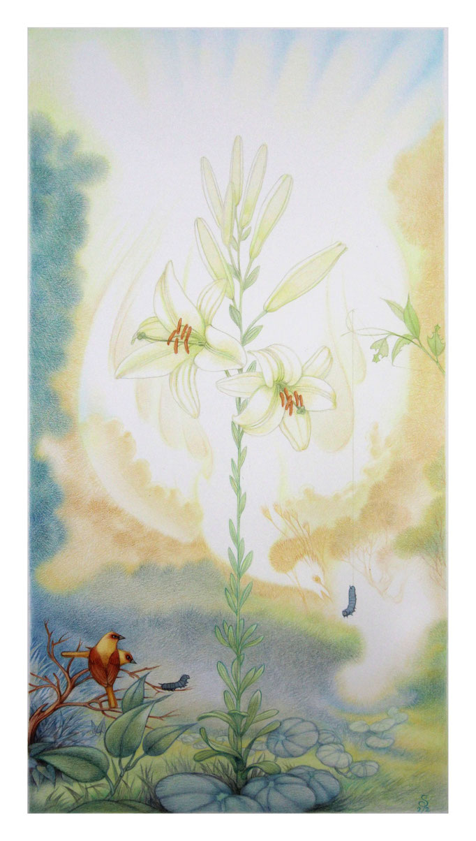 "Hérauts du soleil" - Étude au crayon de couleur sur papier 43 x 21,7 cm