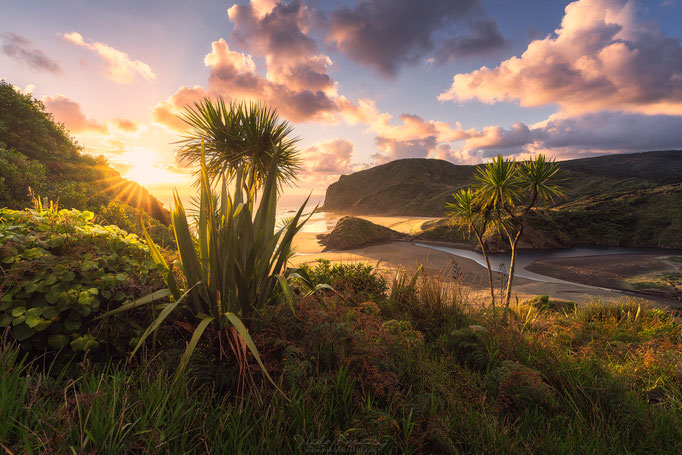 Anawhata Beach, North Island, New Zealand