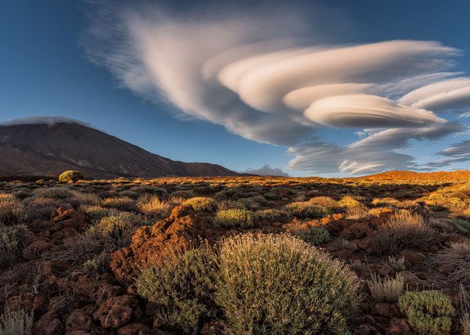 Teide National Park, Tenerife, Canary Islands, Spain