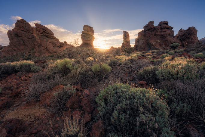 Teide National Park, Tenerife, Canary Islands, Spain