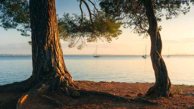 Alcanada Boats, Mallorca, Balearic Islands, Spain