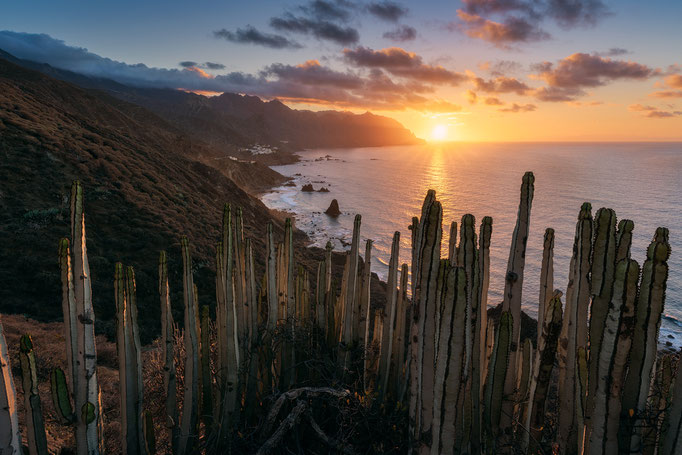 Tenerife, Canary Islands, Spain