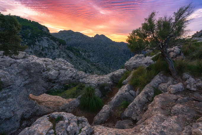 Serra de Tramuntana, Mallorca, Balearic Islands, Spain