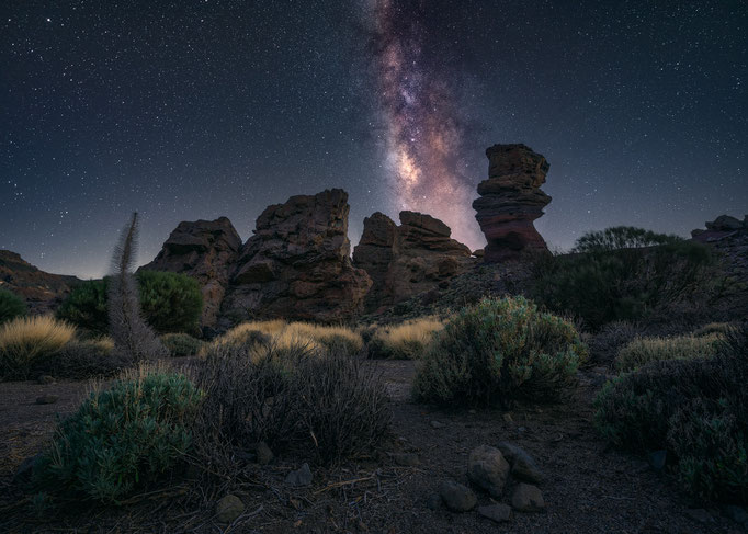 Teide National Park, Tenerife, Canary Islands, Spain
