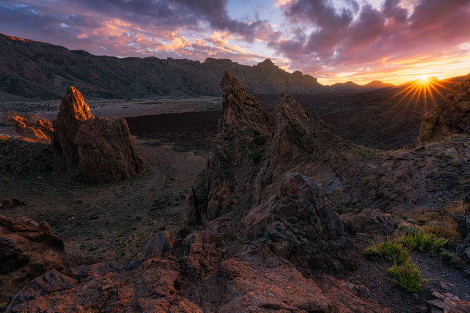 Teide National Park, Tenerife, Canary Islands, Spain