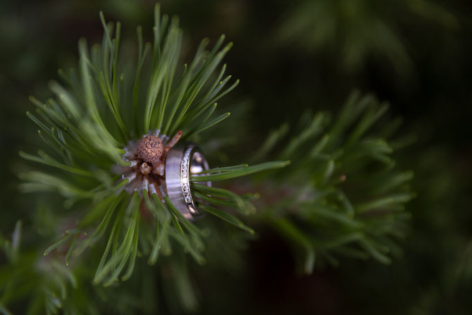 Hochzeitsfotografie Metzingen 