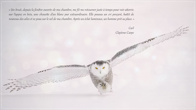 Citation de Carl de Claytone Carpe