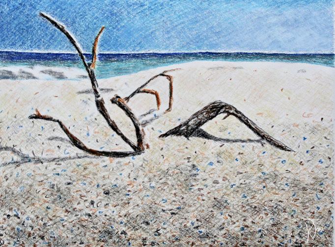 Ast am Sand  |  55 x 41,5 cm  |  Ölkreide