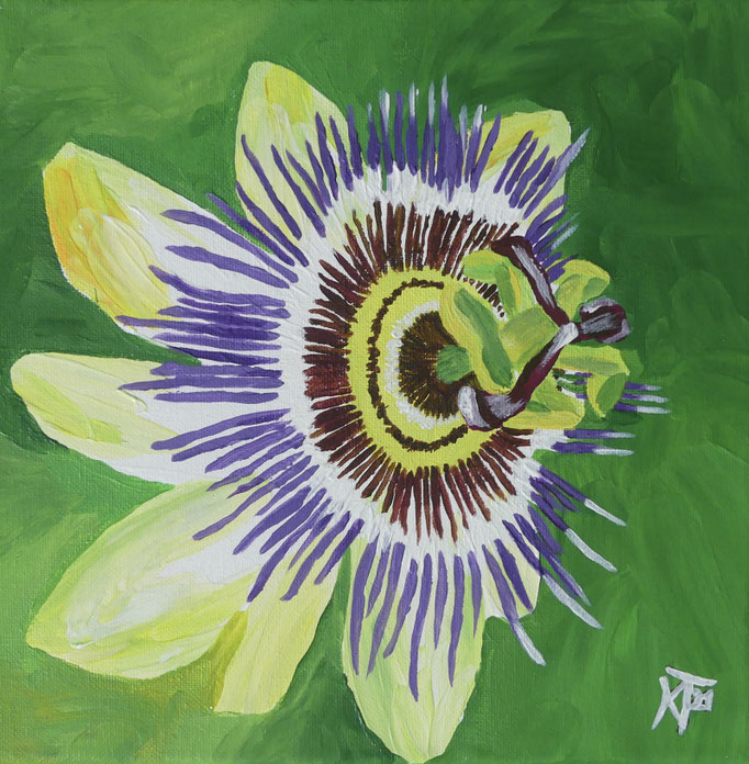 Passionsblume  |  25 x 25 cm  |  Acryl