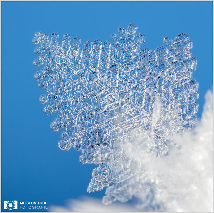 Eiskristall  |  Canon EOS R6, Sigma 150 f/2,8 Makro DG OS HSM mit Telekonverter 2x III (300 mm), ISO 800, 1/320s, f/13