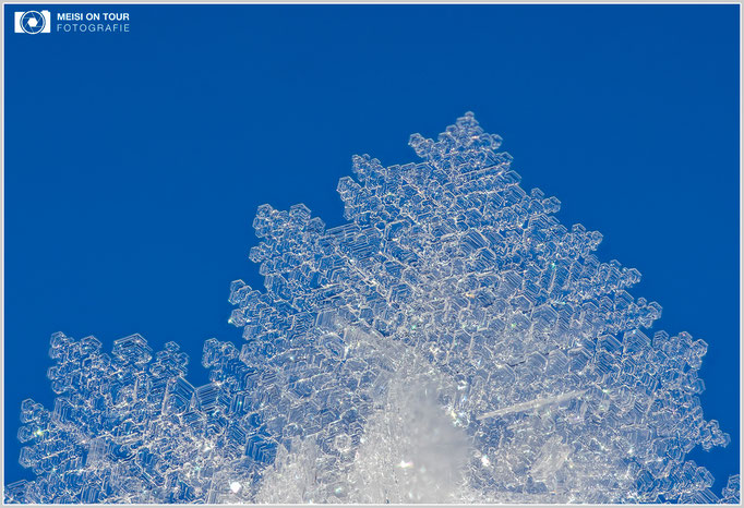 Eiskristall  |  Canon EOS R6, Sigma 150 f/2,8 Makro DG OS HSM mit Telekonverter 2x III (300 mm), ISO 400, 1/800s, f/8 Stack (31 Aufnahmen)