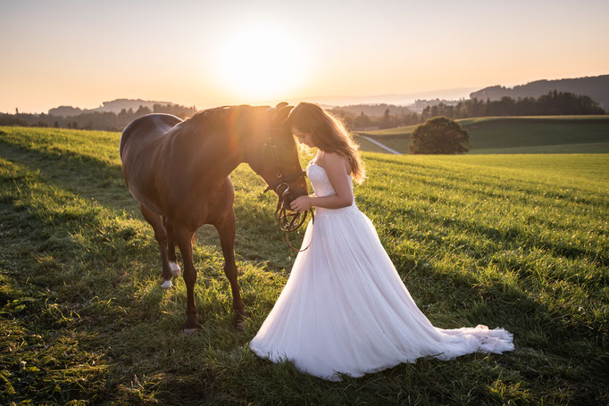 Afterwedding mit Pferd während dem Sonnenuntergang