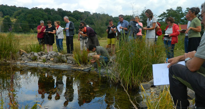 Der Amphibienteich auf dem NABU-Gelände (Foto: Dietmar Wäß)
