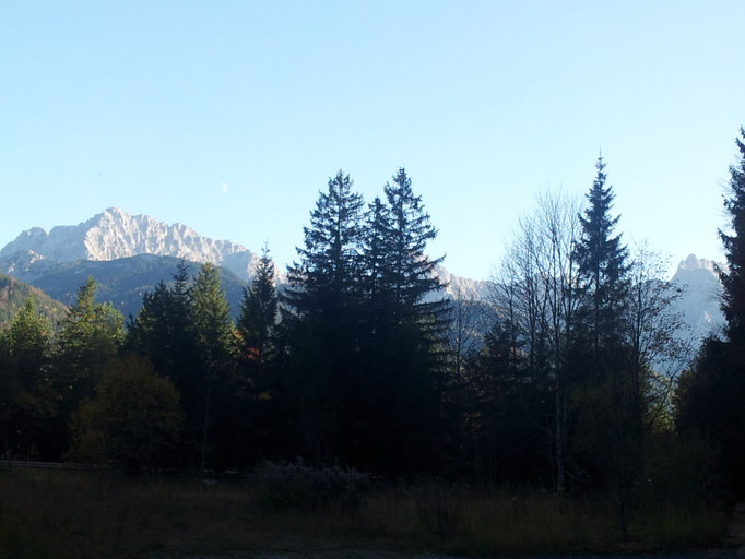 Blick im Mittenwald