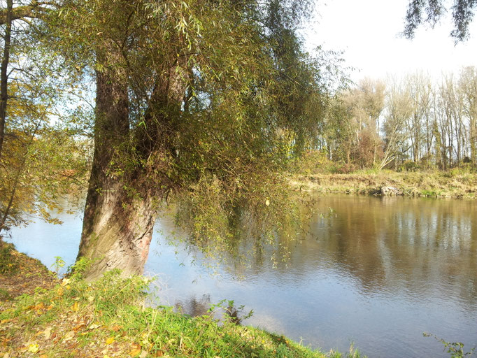 Isar ab München