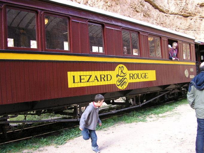 Red Lizard Train
