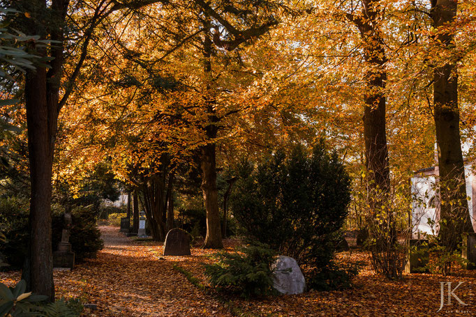 Herbstspaziergang auf dem Alten Friedhof in Flensburg