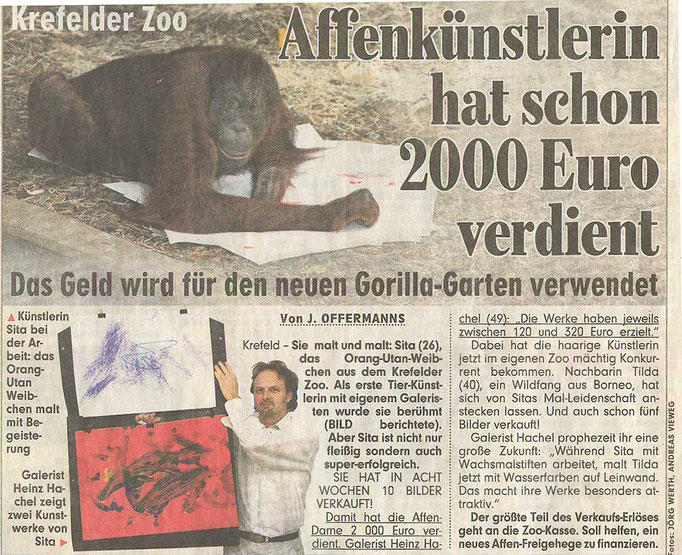 BILD, 5.01.2008