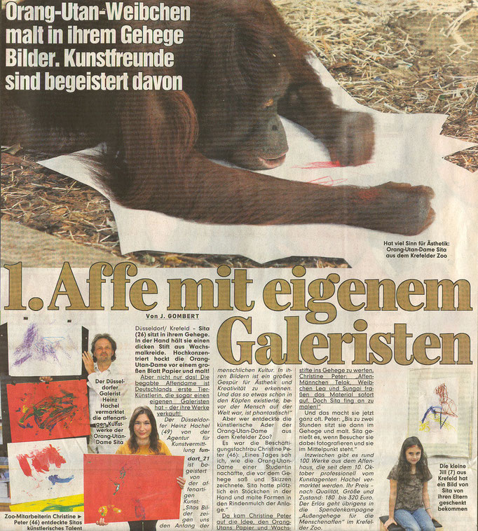 BILD, 17.11.2007
