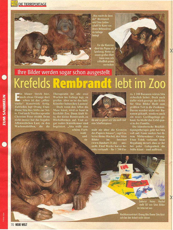 Neue Welt, 2/2008