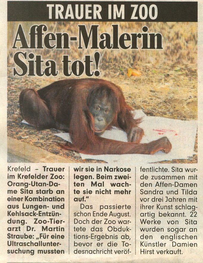 BILD Düsseldorf, 24.09.2009
