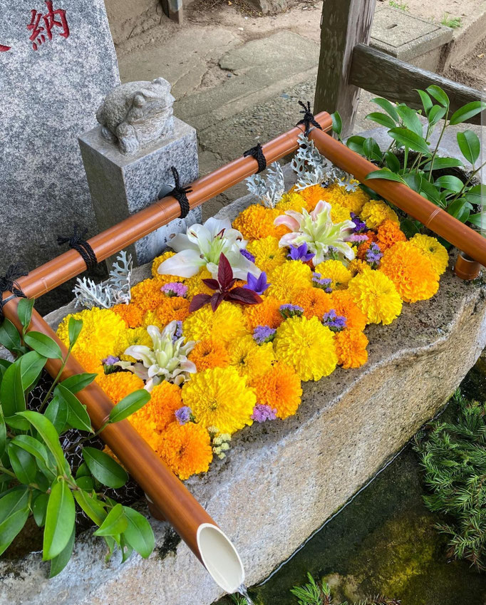 花手水フォトギャラリー 田間神社 千葉県東金市 花手水フォトギャラリー 田間神社 千葉県東金市