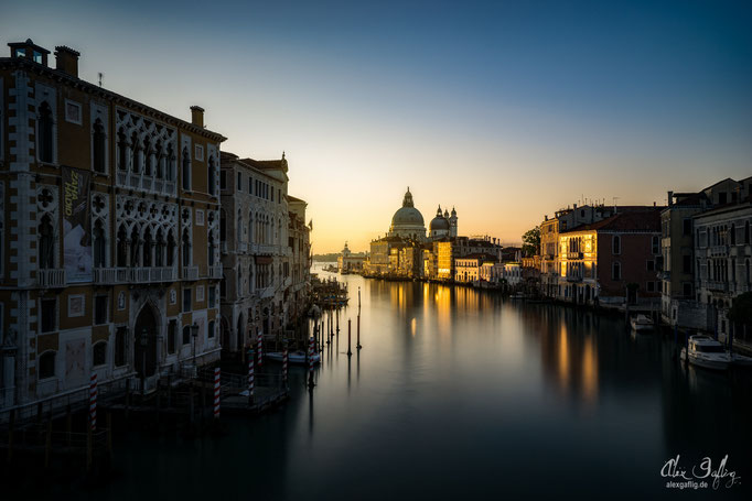 "Venezian Gold" - Venice, Italy