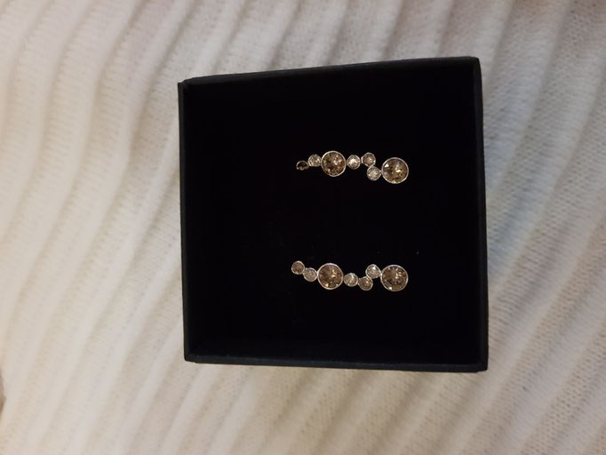 Ohrringe 49,90€