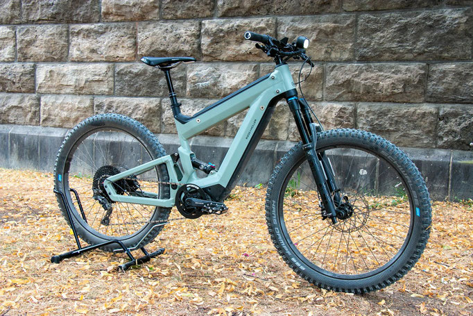 Superdelite Mountain von Riese & Müller 2020 emotion eBike Experten