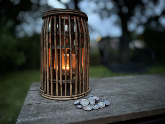 Tiny House Old Oaks Garten
