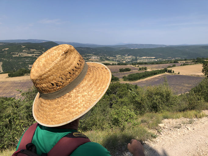 La provence