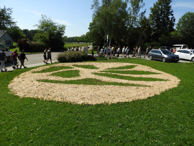 05: Siegel, Sägespäne auf Gras von Leo