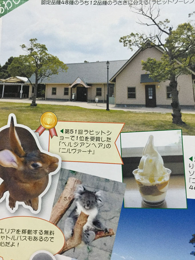 神戸市内・淡路島の観光の写真です・県外・お墓参り・冠婚葬祭は神戸市北区介護タクシーのうえだケアサービスをご利用下さい