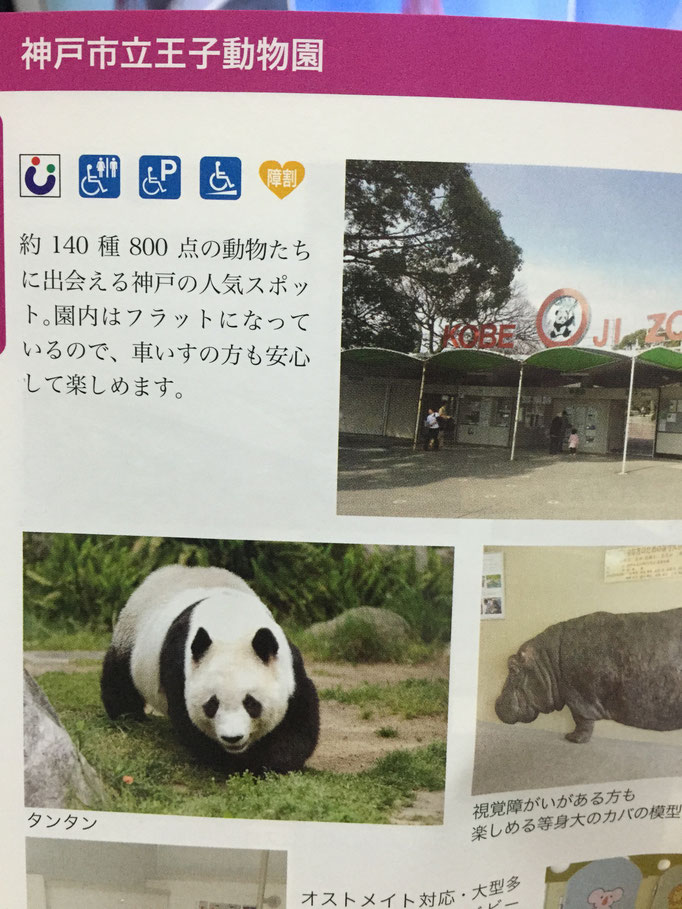 神戸市内の王子動物園に来てます・県外・一時帰宅・お墓参り・冠婚葬祭は介護タクシーのうえだケアサービスをご利用下さい