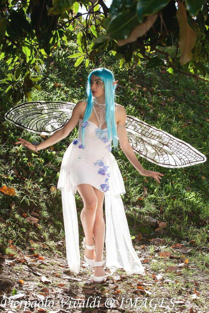 Dragonfly fairy costume and wings