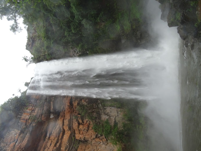 Lone Creek Waterfalls --- leider zu hoch um sie Horizontal zu fotografieren