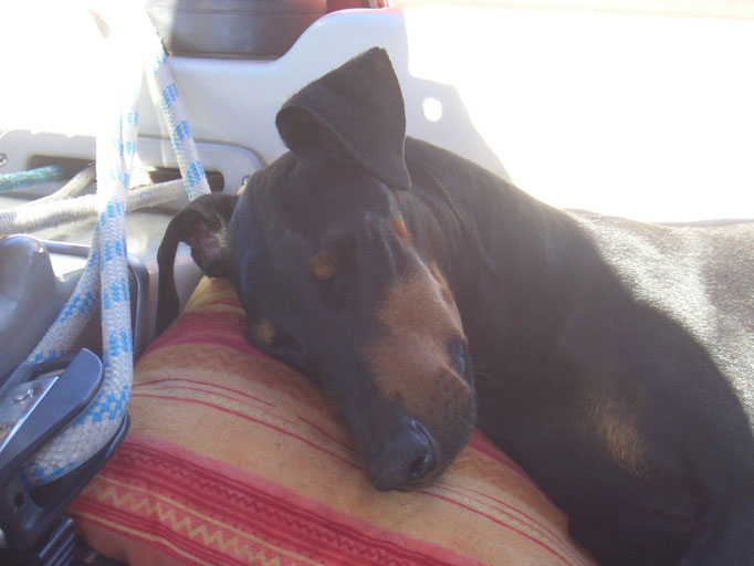 relaxen auf See