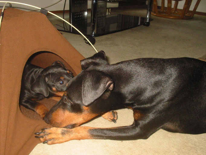 Bilder ab Mai 2009 (Barclay & Oona-Devi)