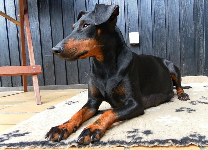 Mai 2011 (58.Trächtigkeitstag)