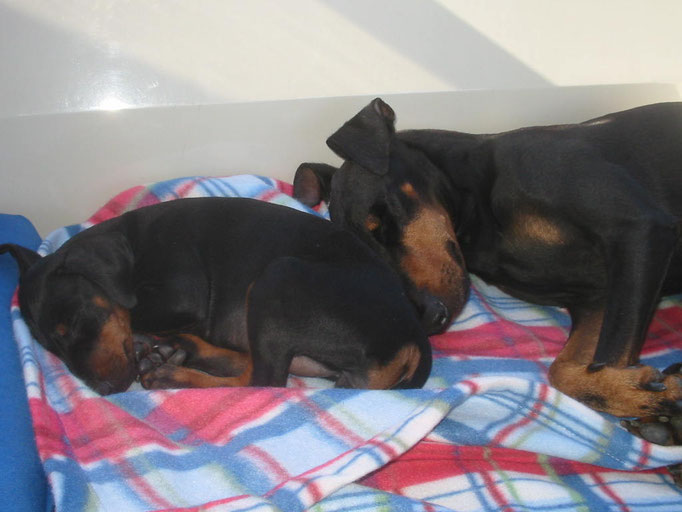 Ein Seetag macht müde