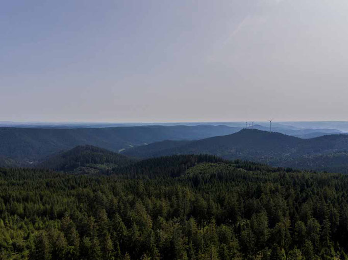 Drohne im Schwarzwald