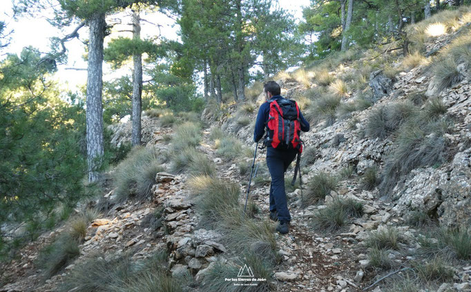 Viejo camino que nos lleva a los Prados de Cuenca