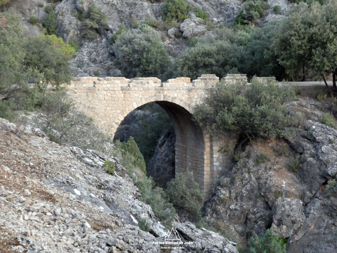Puente de piedra, sobre el Guazalamanco
