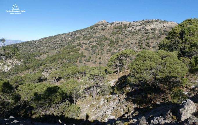 Cerro Tamboril