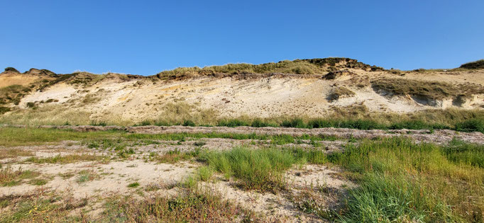 Morsum Kliff auf Sylt 