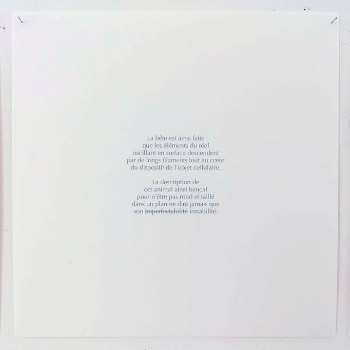 Extrait du texte de Patrick Dubost