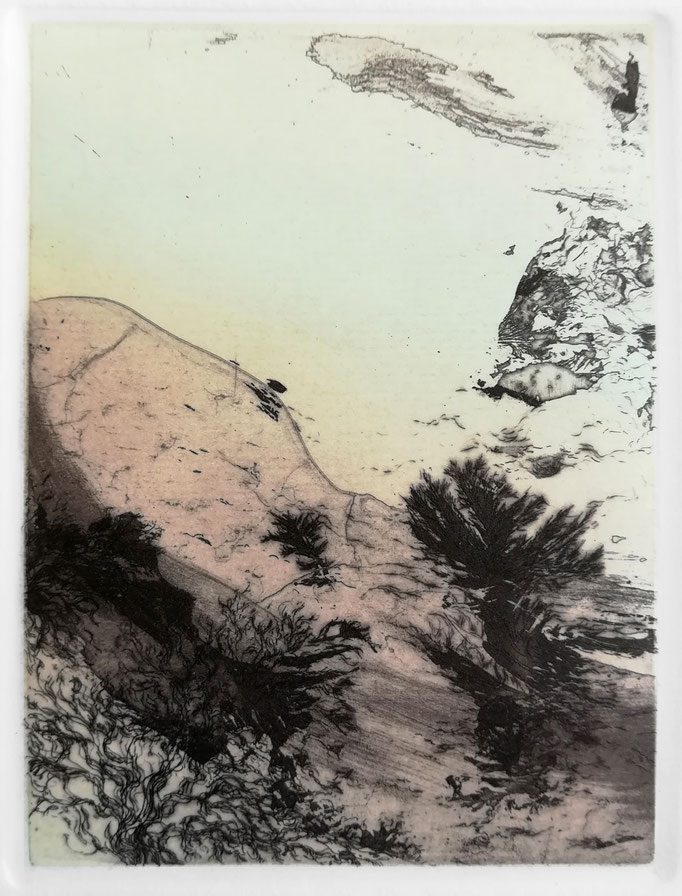 microcosme 6 - fleur de soufre, marbrure, eau forte et pointe sèche - 10 x 7,5 cm -  imprimé sur papier 30 x 30 cm - 2019
