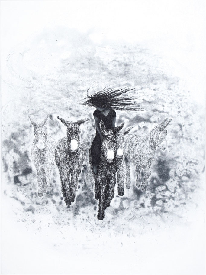 La horde d'ânes - morsure directe, eau forte et aquatinte - 30 x 40 cm - 2017